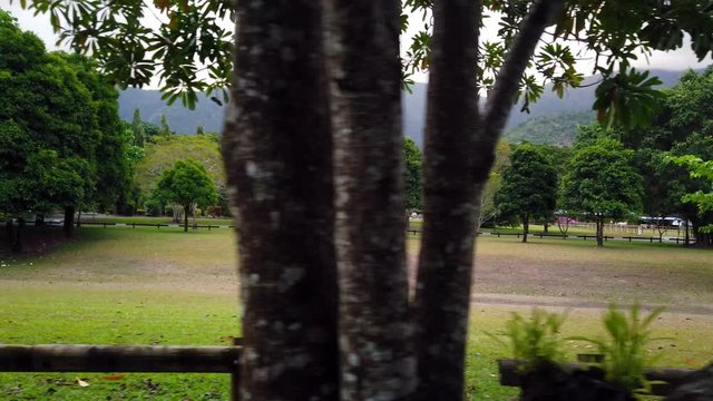 Trees in an open grass field with mountains in the background second