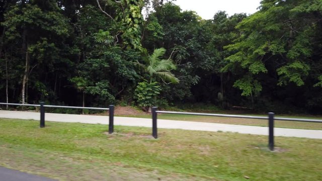 Trees and a footpath with fencing side view
