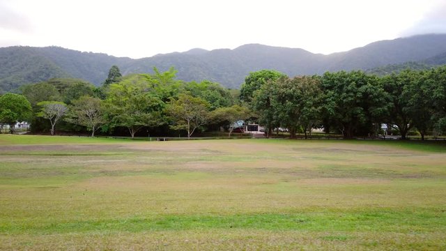 Trees in a field slow motion with large mountains in the background
