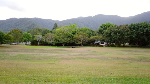 Trees in an open grass field with mountains in the background