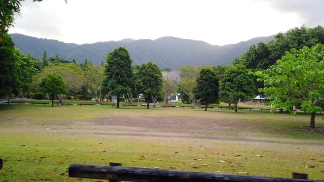 Trees in an open grass field with mountains in the background  slow motion