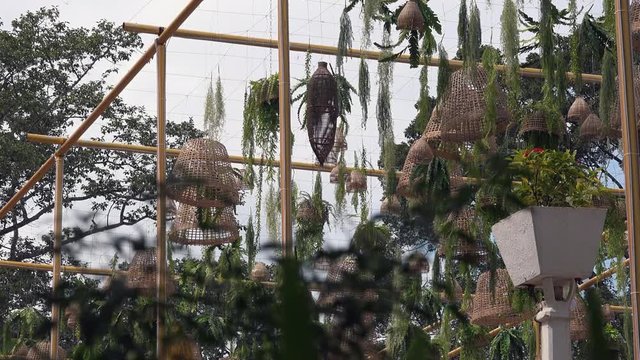 Slider Shot of Decorations in the Trees at Festival Time