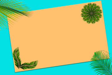 Fototapeta na wymiar Green palm leaves pattern for nature concept,tropical leaf on orange and teal paper background