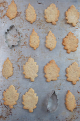 autumn leaves and home made autumn cookies