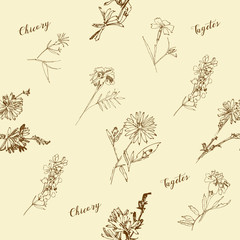 Seamless pattern with Wild Flowers with Summer Botanical Sketches - 301310298
