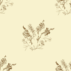 Seamless pattern with Wild Flowers with Summer Botanical Sketches - 301310406
