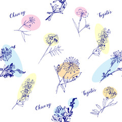 Seamless pattern with Wild Flowers with Summer Botanical Sketches - 301310455