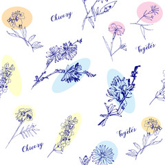 Seamless pattern with Wild Flowers with Summer Botanical Sketches - 301310466
