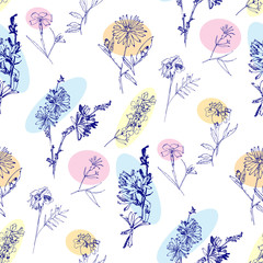Seamless pattern with Wild Flowers with Summer Botanical Sketches - 301310482