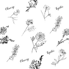 Seamless pattern with Wild Flowers with Summer Botanical Sketches - 301310805