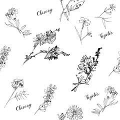 Seamless pattern with Wild Flowers with Summer Botanical Sketches - 301310818