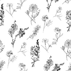 Seamless pattern with Wild Flowers with Summer Botanical Sketches - 301310830