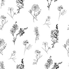 Seamless pattern with Wild Flowers with Summer Botanical Sketches - 301310841