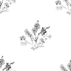 Seamless pattern with Wild Flowers with Summer Botanical Sketches - 301310875