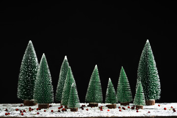 Christmas - Pine tree  On the snow Black background