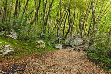 Big rock stone with special sign for hiking in beautiful autumn forest. Slovenia mountains trail....