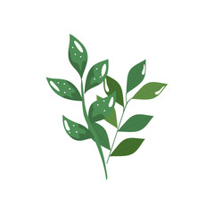 branches with leafs nature ecology isolated icon vector illustration design