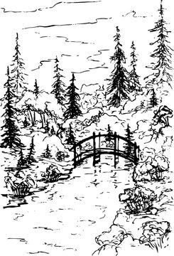 Vector forest landscape with a wooden bridge over a stream