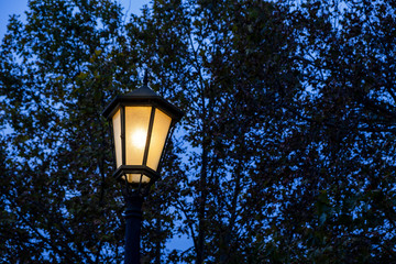 Fototapeta na wymiar lamppost lit at dusk