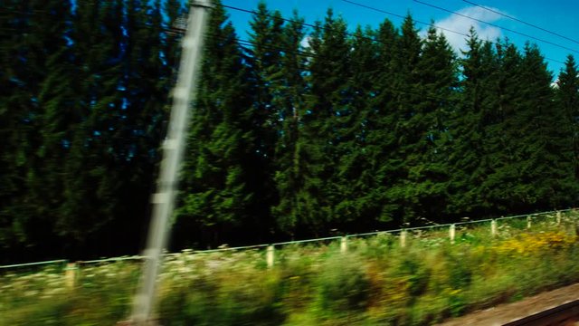 High-speed Train fast moves past a low forest in the summer