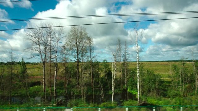 High-speed Train fast moves past a trees and a fields in the summer