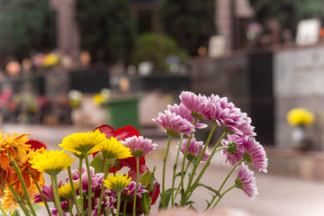 Fototapeta na wymiar Fresh Flowers Deposed in the Day of Commemoration of the Dead