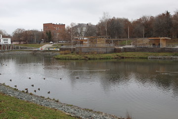 Fototapeta premium view of the river