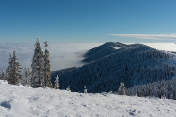 Beautiful scenery with winter snow-capped mountains, with fogs and contrasting snow structure and red tourist tent in the foreground, in locations in the Ukrainian Carpathians.