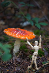 der war giftig - Fliegenpilz