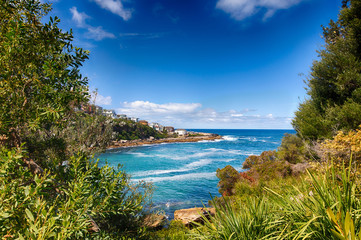 Fototapeta premium Bondi to Coogee Walk close to Gordons Bay in Sydney, Australia