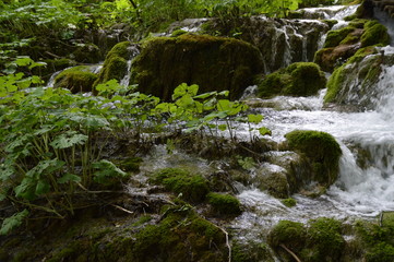 Fototapeta na wymiar plitvice lago