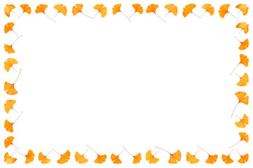 Gingko leaf frames isolated and flat layed on a white background.