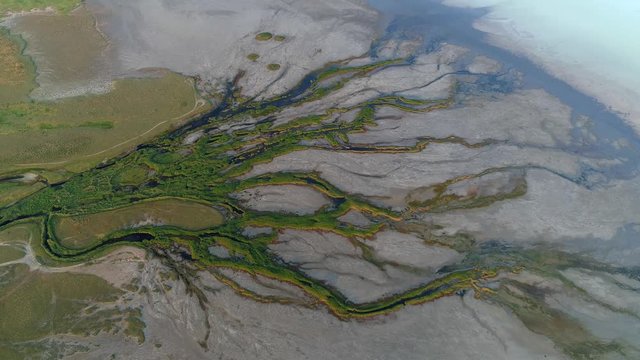 Cinematic natural landscape river delta many branches network of channels green grass swampy crust salt white costal lake Elton Russia sight beautiful mini ecosystem. Life on new planet surreal place.
