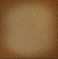 Patterned Leather and old leather texture abstract background.