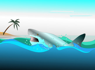 beach shark in the  ocean  