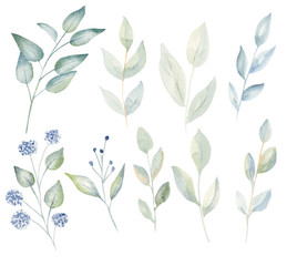Branches with leaves and blossoms watercolor raster illustration set