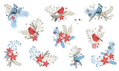 Christmas decorative compositions with traditional plants and birds.