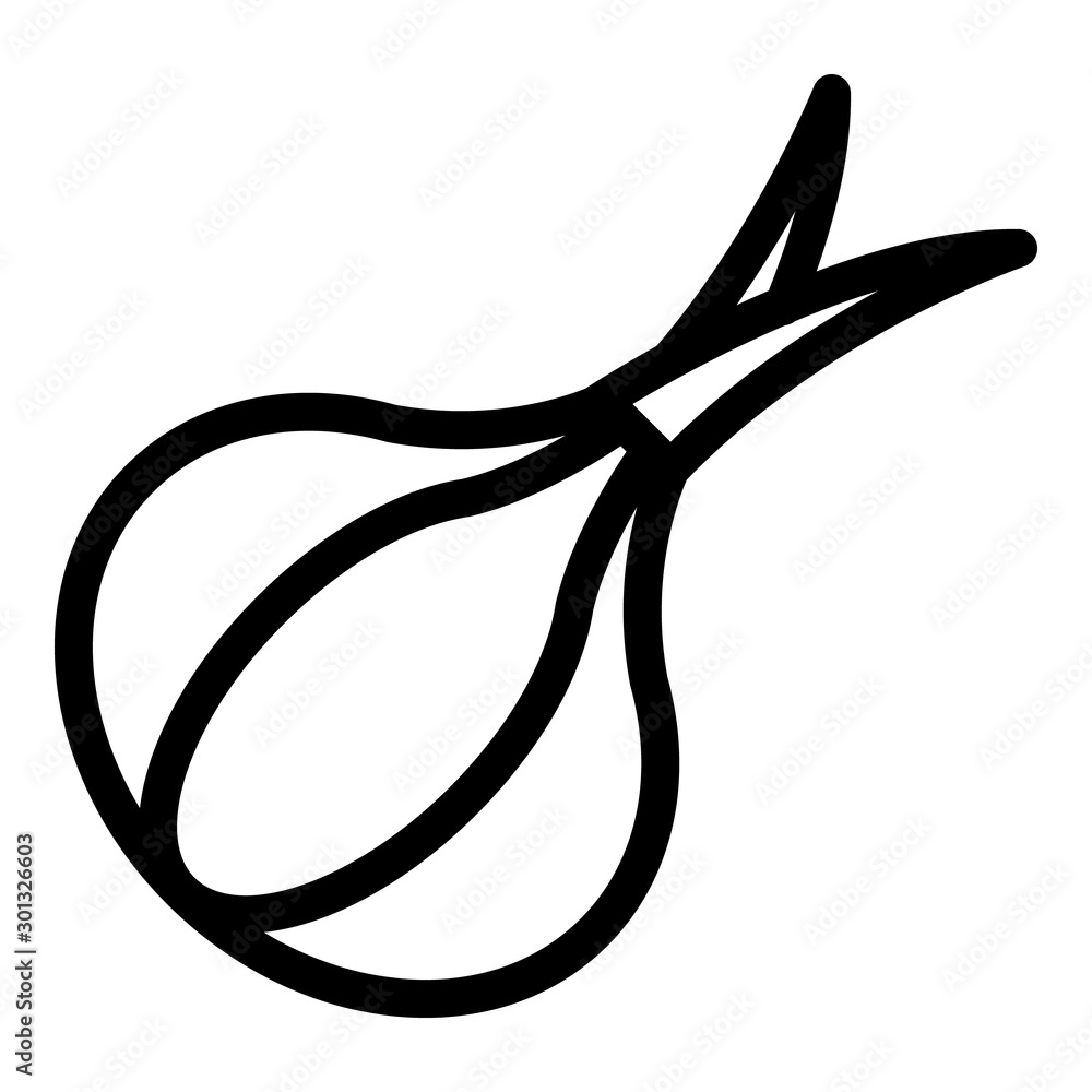 Poster raw onion icon. outline raw onion vector icon for web design isolated on white background