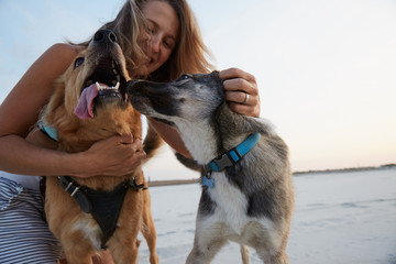 A girl hugging her dogs on the beach in sunset laughing