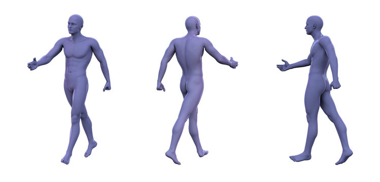 3d rendering illustration of violet human anatomy
