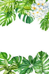 tropical leaves and flowers on an isolated background, greeting cards with space for text, watercolor painting, botanical illustration, floral design, plumeria, palms, monstera