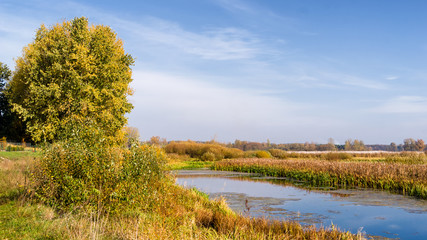 Jesień w Dolinie Górnej Narwi, Podlasie, Polska © podlaski49