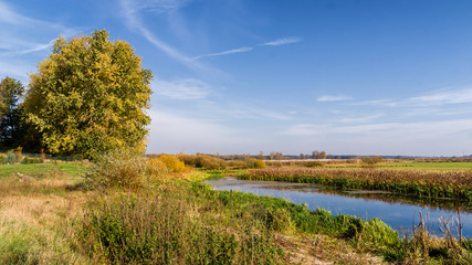 Jesień w Dolinie Górnej Narwi, Podlasie, Polska © podlaski49