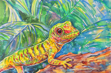 Obraz premium Watercolor lizard. Gecko.