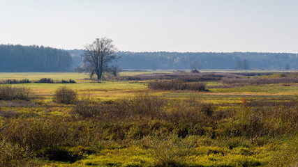 Jesień w Dolinie Górnej Narwi, Podlasie, Polska © podlaski49
