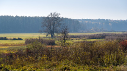 Jesień w Dolinie Górnej Narwi, Podlasie, Polska © podlaski49