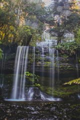 Fototapeta na wymiar Russel Falls, Tasmania.