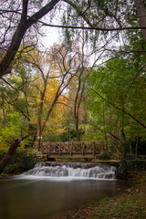 river with waterfall in the autumn season