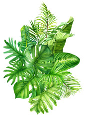Zusammensetzung tropischer Blätter auf einem isolierten Hintergrund, Grünpflanzen, Aquarellmalerei, botanische Illustration, Blumenmuster, ein Strauß Bananenpalmenblätter, Monstera