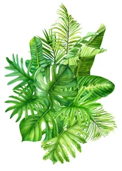 Fototapete Monstera Zusammensetzung tropischer Blätter auf einem isolierten Hintergrund, Grünpflanzen, Aquarellmalerei, botanische Illustration, Blumenmuster, ein Strauß Bananenpalmenblätter, Monstera